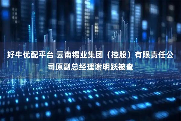 好牛优配平台 云南锡业集团（控股）有限责任公司原副总经理谢明跃被查