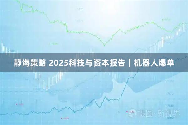 静海策略 2025科技与资本报告｜机器人爆单