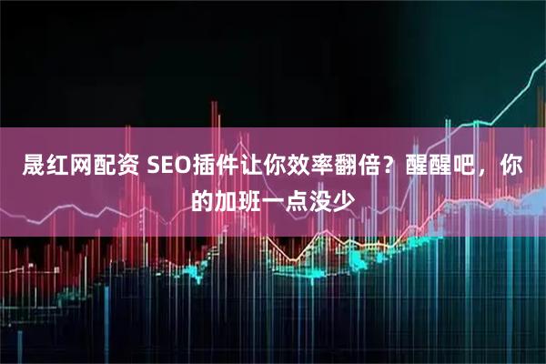 晟红网配资 SEO插件让你效率翻倍？醒醒吧，你的加班一点没少