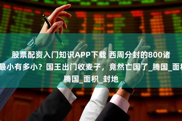 股票配资入门知识APP下载 西周分封的800诸侯国，最小有多小？国王出门收麦子，竟然亡国了_腾国_面积_封地
