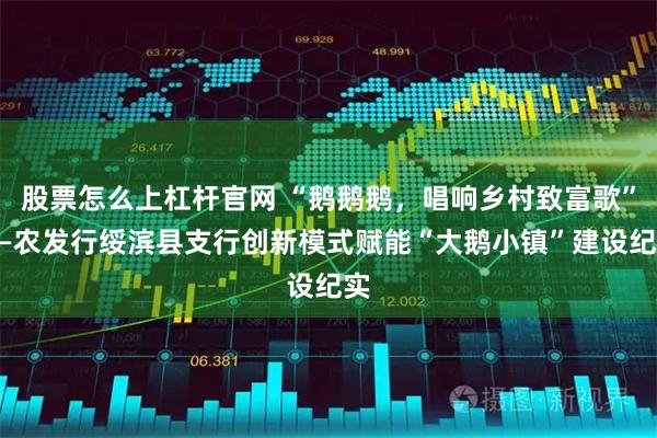股票怎么上杠杆官网 “鹅鹅鹅，唱响乡村致富歌”——农发行绥滨县支行创新模式赋能“大鹅小镇”建设纪实