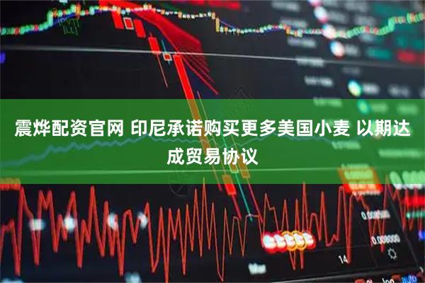 震烨配资官网 印尼承诺购买更多美国小麦 以期达成贸易协议