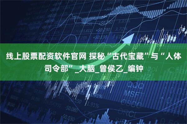 线上股票配资软件官网 探秘“古代宝藏”与“人体司令部”_大脑_曾侯乙_编钟