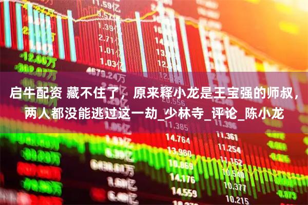 启牛配资 藏不住了，原来释小龙是王宝强的师叔，两人都没能逃过这一劫_少林寺_评论_陈小龙