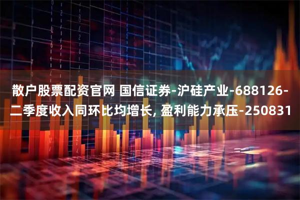 散户股票配资官网 国信证券-沪硅产业-688126-二季度收入同环比均增长, 盈利能力承压-250831